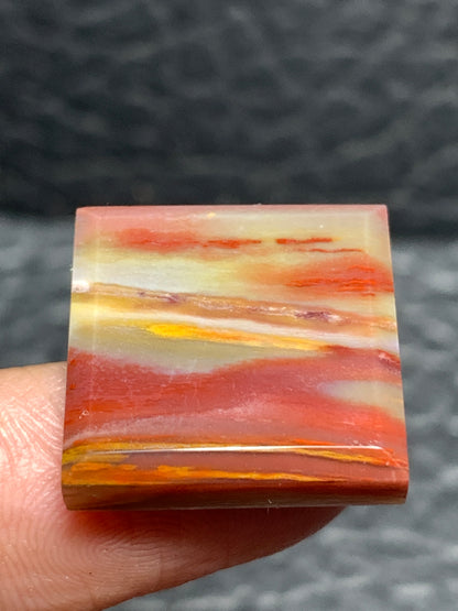 Petrified Palmwood Square Cabochon 18x18x4mm