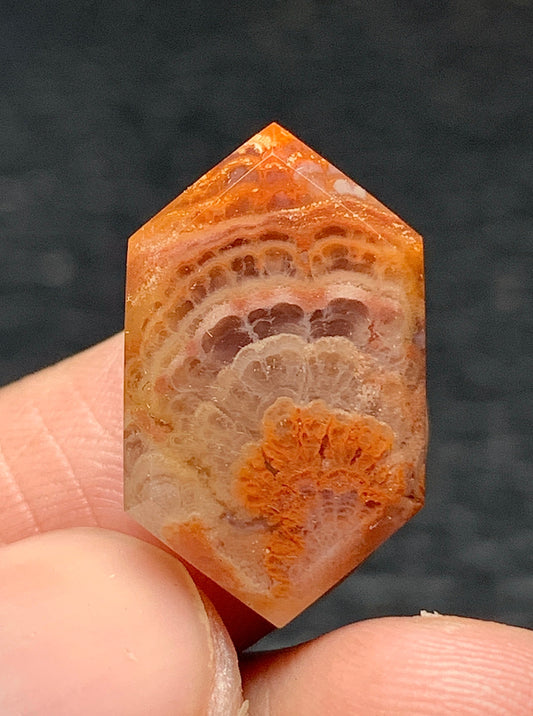 Tiny Plume Agate Hexagon Cabochon 19x11.5x5mm