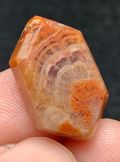 Tiny Plume Agate Hexagon Cabochon 19x11.5x5mm