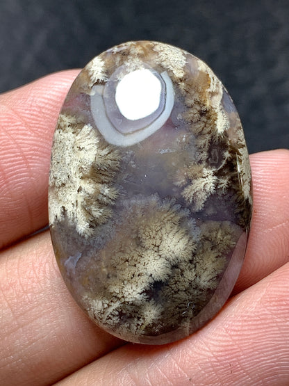 Plume Agate Oval Cabochon 29x19x6mm