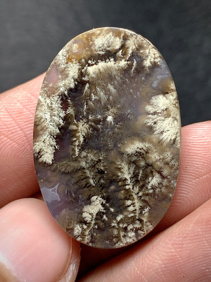 Plume Agate Oval Cabochon 29x19x6mm