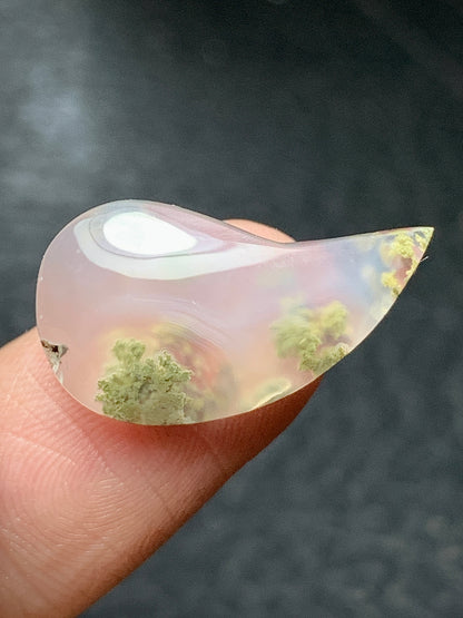 Scenic Moss Agate Teardrop Cabochon 22x12x5mm