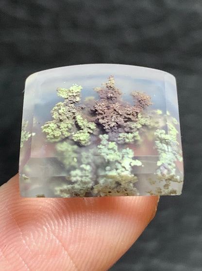 Tiny Scenic Moss Agate Fanshape Cabochon 15.7x15x4.7mm