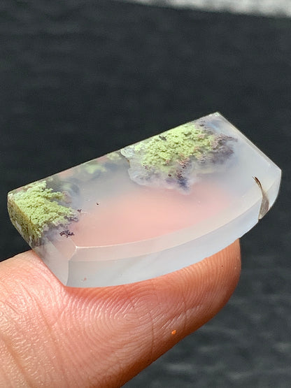 Scenic Moss Agate Fanshape Cabochon 24.5x14x8mm