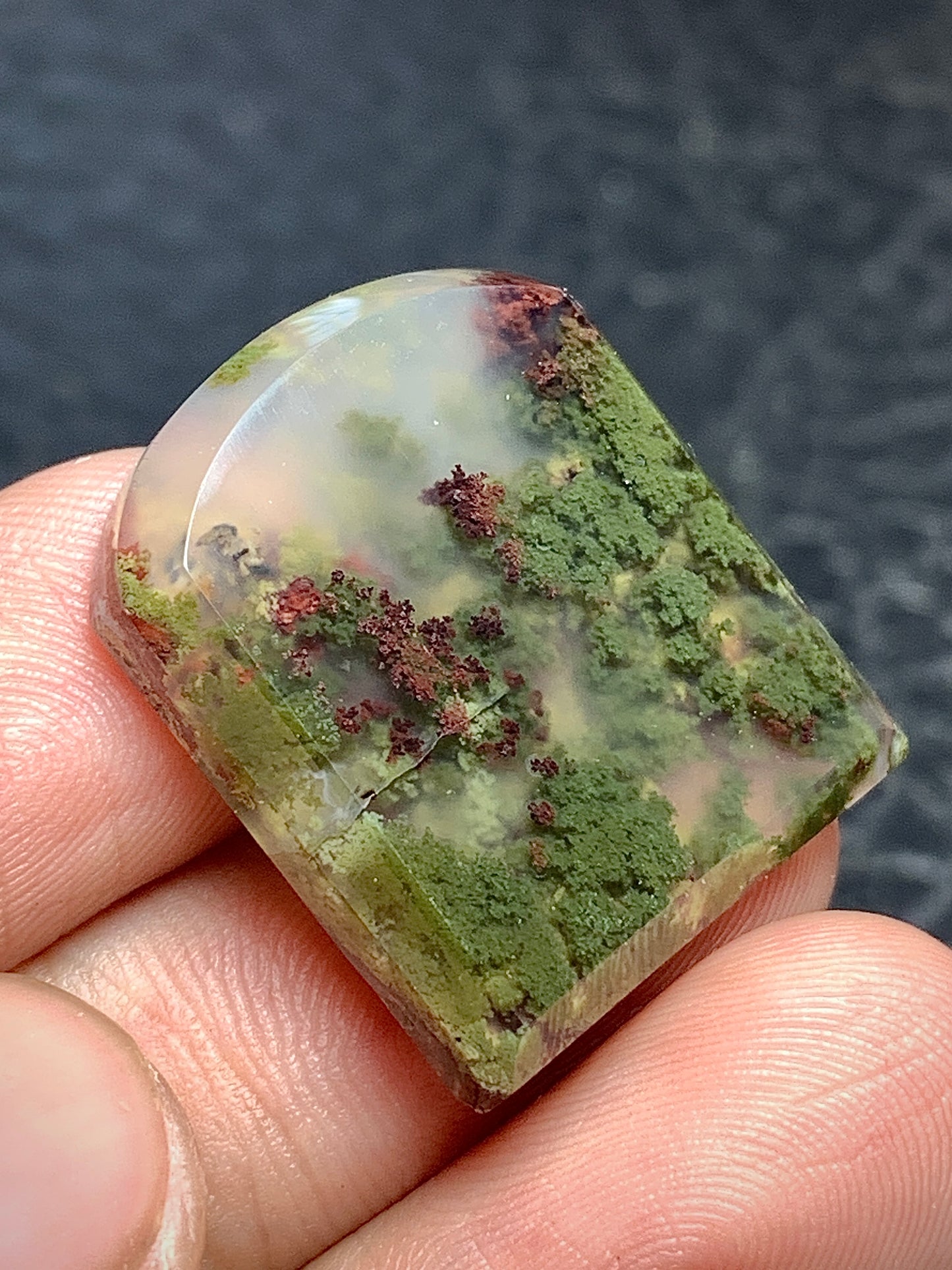 Scenic Moss Agate Fanshape Cabochon 24x21x5mm