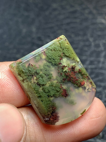 Scenic Moss Agate Fanshape Cabochon 24x21x5mm