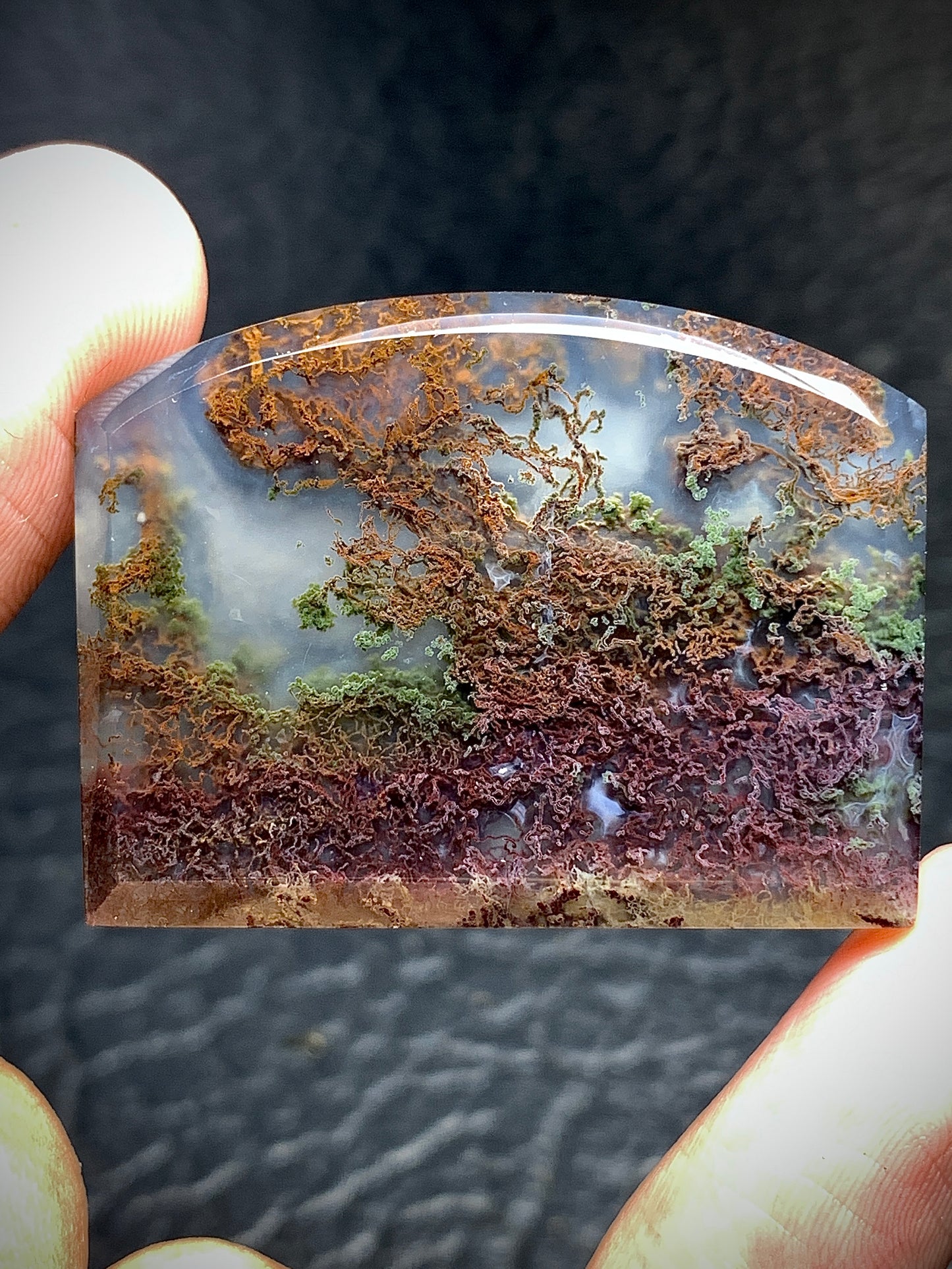 Scenic Moss Agate Fanshape Cabochon 36.5x27.5x5mm