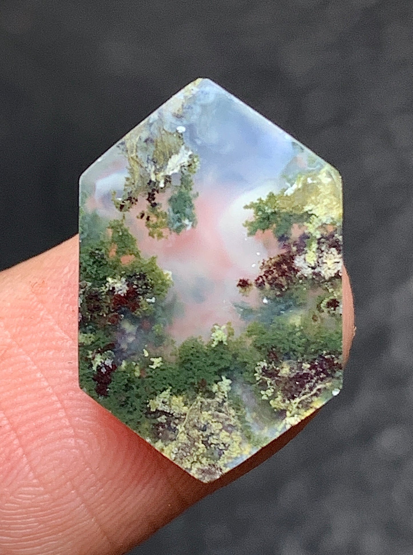 Scenic Moss Agate Hexagon Cabochon 17x11x3.5mm