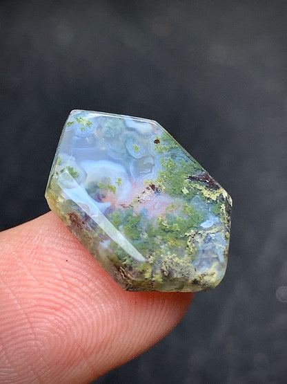 Scenic Moss Agate Hexagon Cabochon 17x11x3.5mm