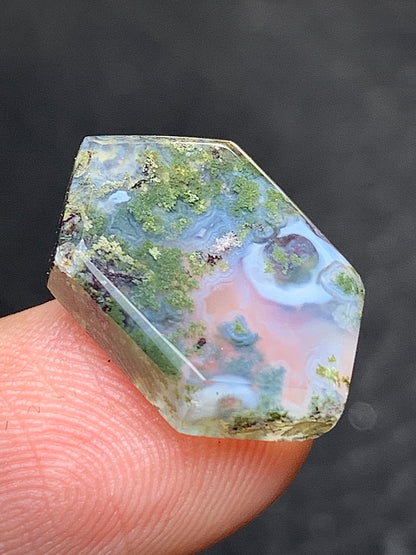 Scenic Moss Agate Hexagon Cabochon 17x11x3.5mm