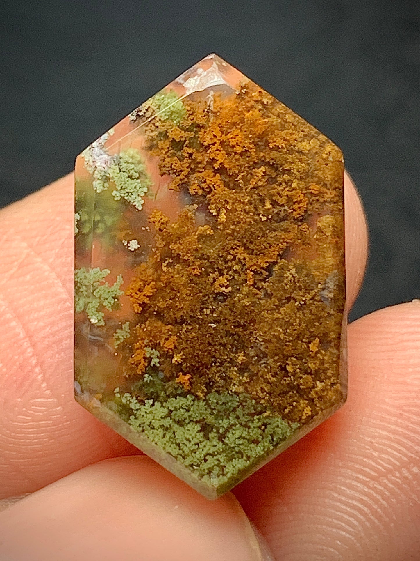 Scenic Moss Agate Hexagon Cabochon 18.5x11x4mm