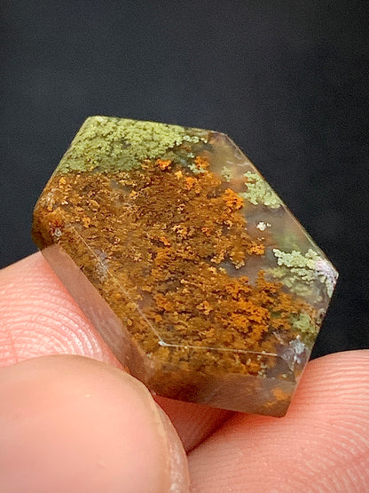 Scenic Moss Agate Hexagon Cabochon 18.5x11x4mm