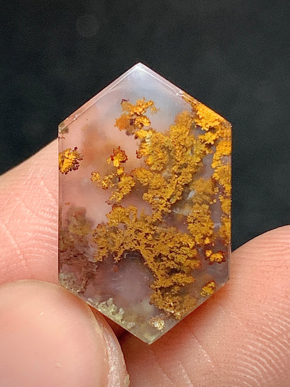 Natural Moss Agate Hexagon Cabochon 18x11x4mm