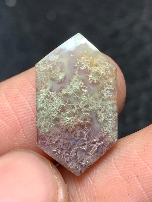 Scenic Moss Agate Hexagon Cabochon 19.5x11x3.5mm