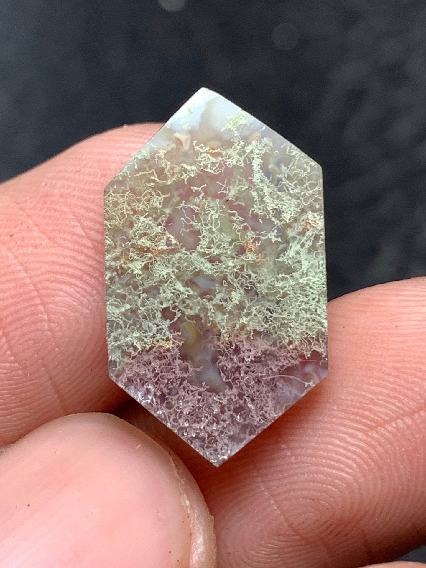 Scenic Moss Agate Hexagon Cabochon 19.5x11x3.5mm