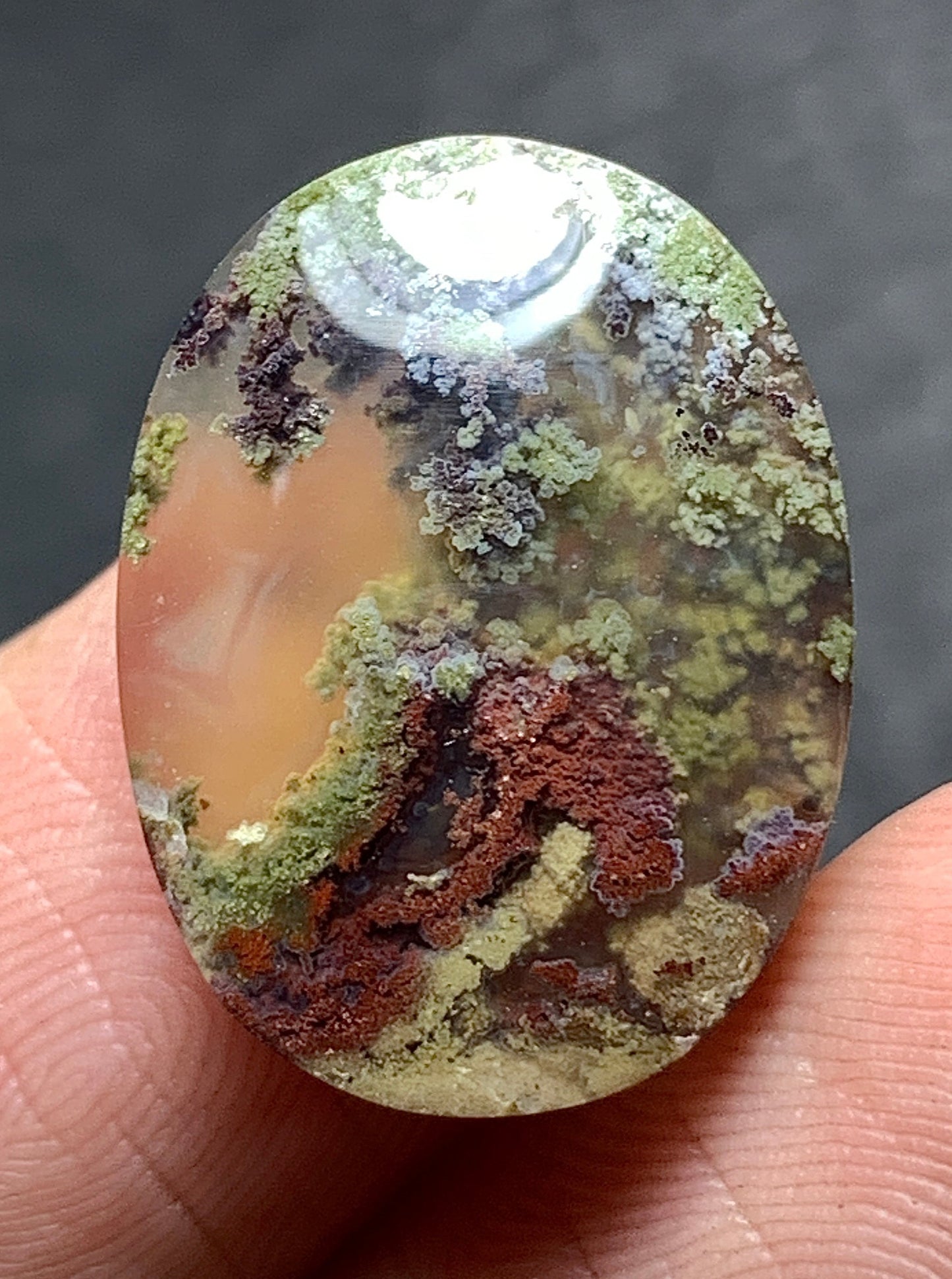 Scenic Moss Agate Oval Cabochon 18.5x14x4mm