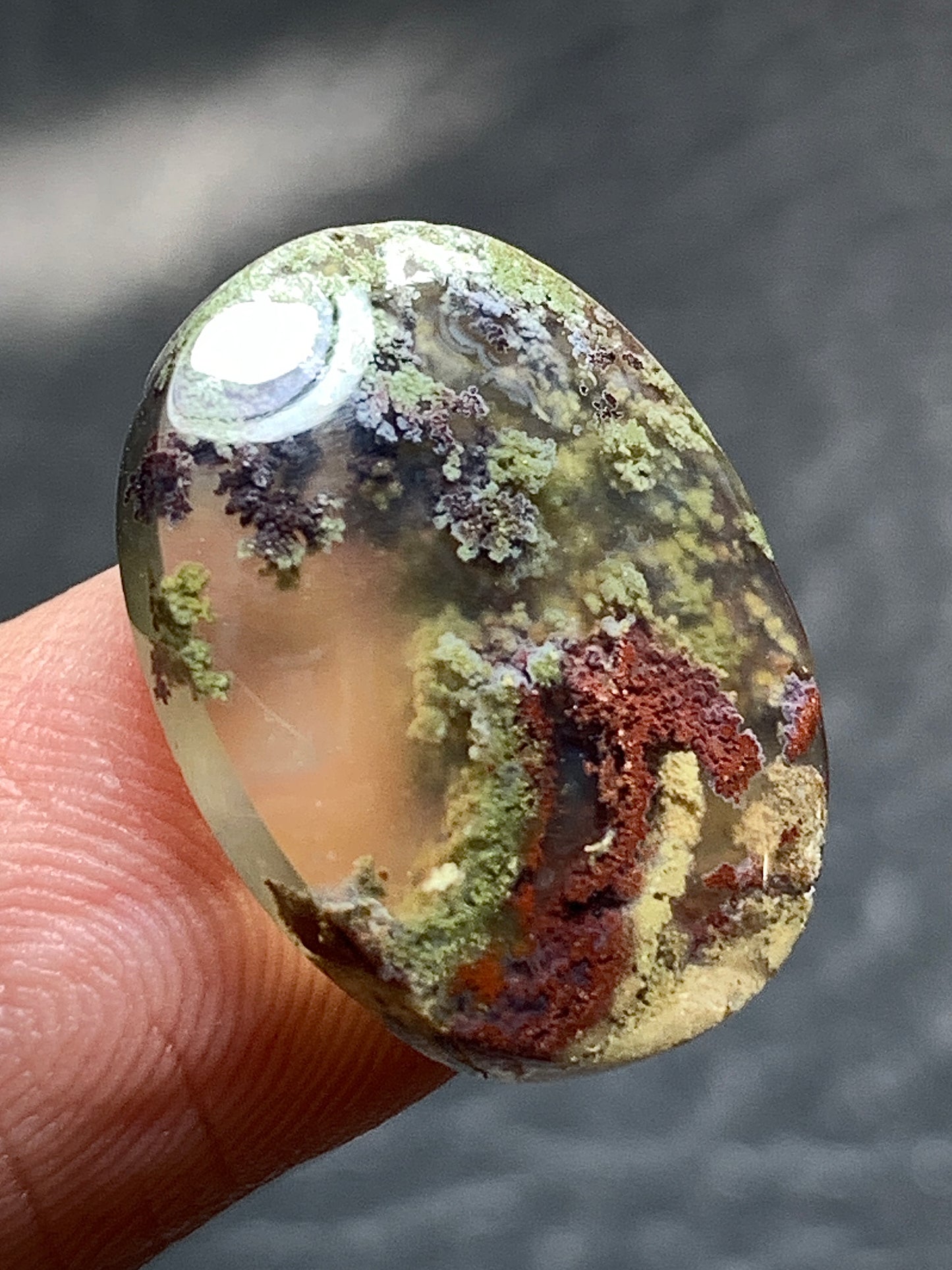 Scenic Moss Agate Oval Cabochon 18.5x14x4mm