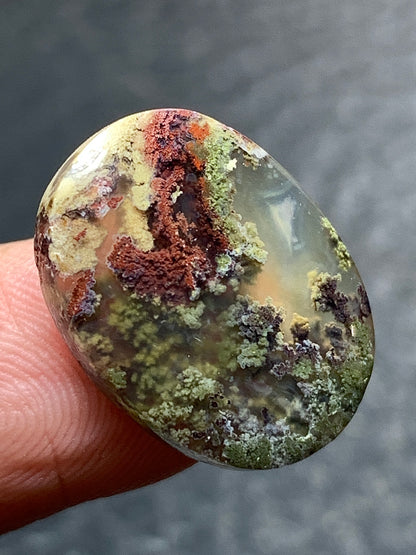 Scenic Moss Agate Oval Cabochon 18.5x14x4mm