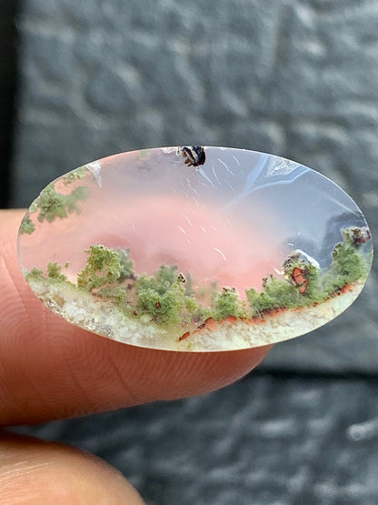 Scenic Natural Moss Agate Oval Cabochon 22x12.7x3.5mm