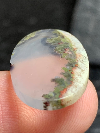 Scenic Natural Moss Agate Oval Cabochon 22x12.7x3.5mm