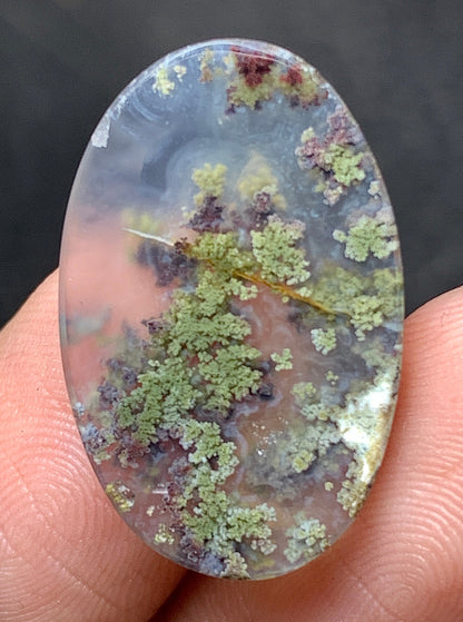 Scenic Moss Agate Oval Cabochon 22x14x4mm