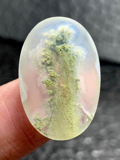 Scenic Moss Agate Oval Cabochon 22x15x5.7mm