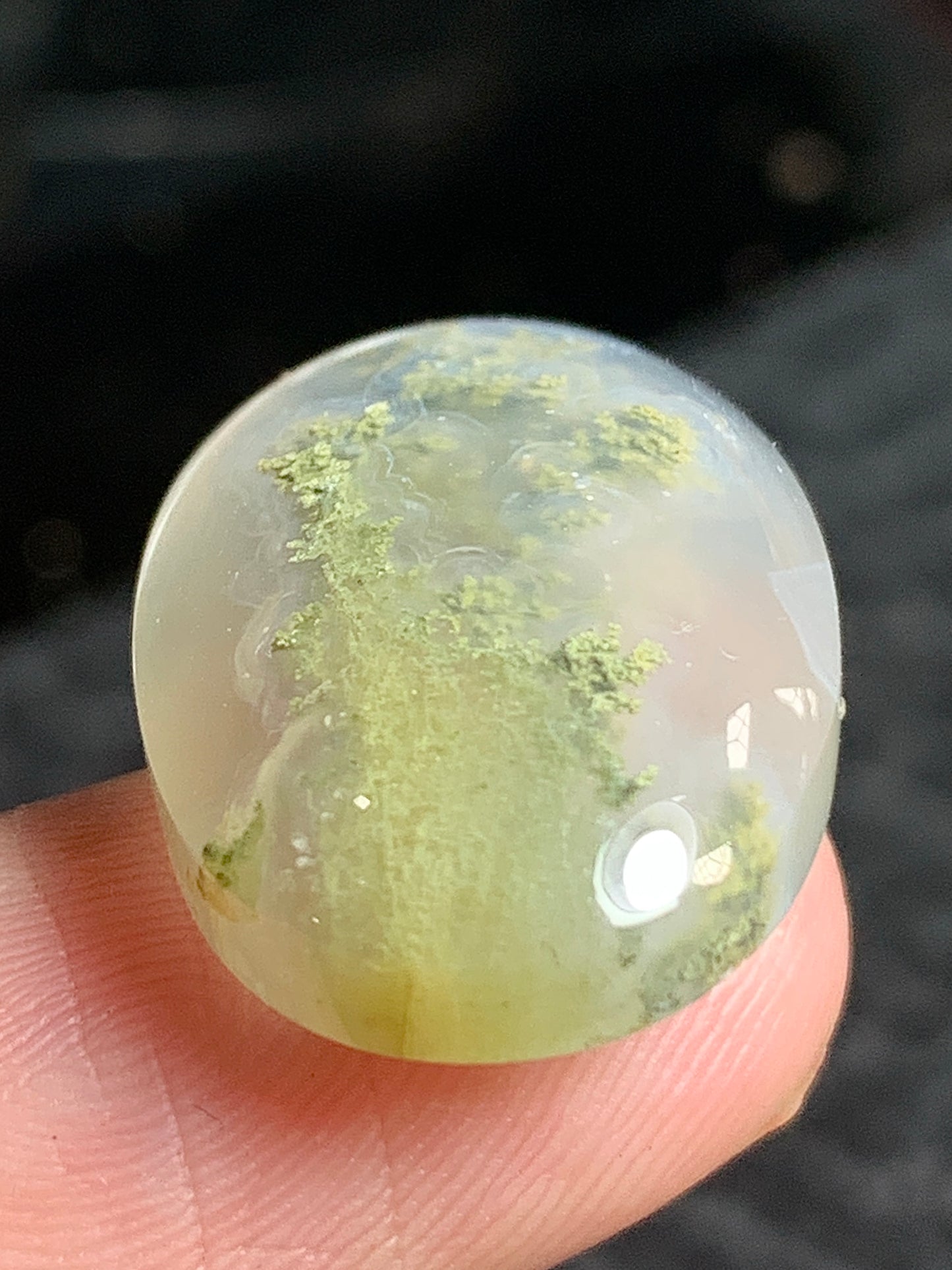 Scenic Moss Agate Oval Cabochon 22x15x5.7mm