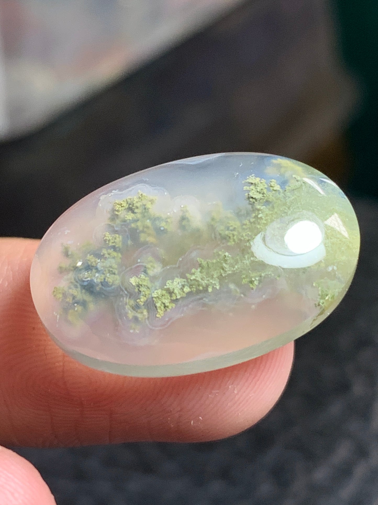 Scenic Moss Agate Oval Cabochon 22x15x5.7mm