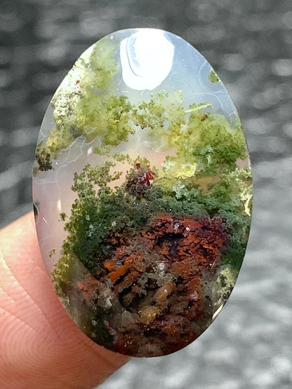 Scenic Moss Agate Oval Cabochon 23.5x15.7x5.5mm