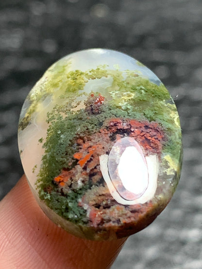 Scenic Moss Agate Oval Cabochon 23.5x15.7x5.5mm