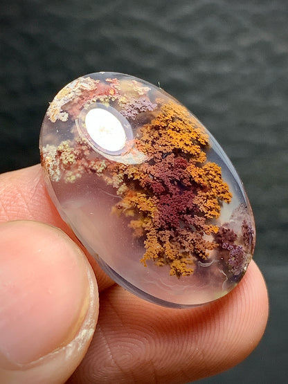 Scenic Moss Agate Oval Cabochon 24x16.5x6mm