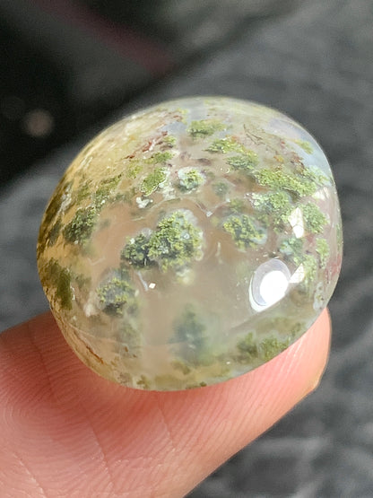 Scenic Moss Agate Oval Cabochon 24x17.8x7.2mm