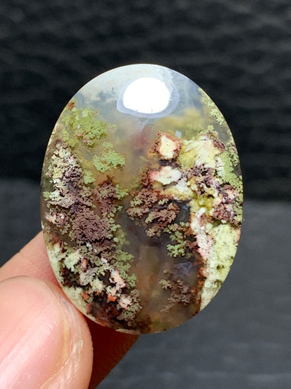 Scenic Moss Agate Oval Cabochon 25x19x6mm