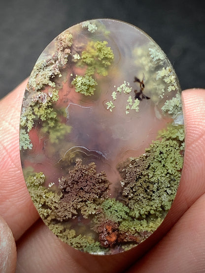 Scenic Moss Agate Oval Cabochon 27x19x8mm