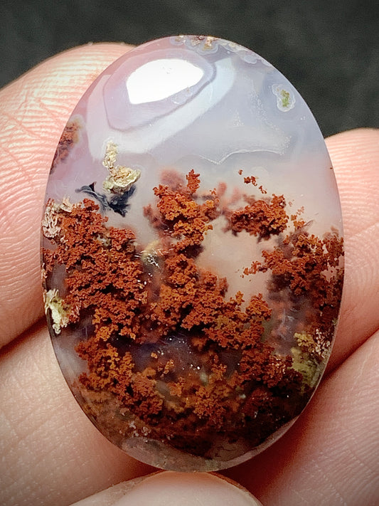 Scenic Moss Agate Oval Cabochon 28x19x6mm