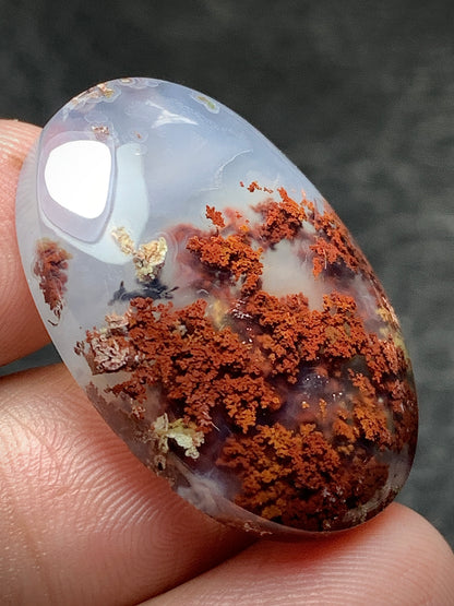 Scenic Moss Agate Oval Cabochon 28x19x6mm