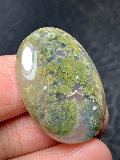 Scenic Moss Agate Oval Cabochon 28x21x6mm