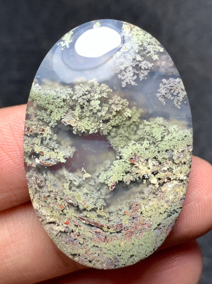 Moos Agate