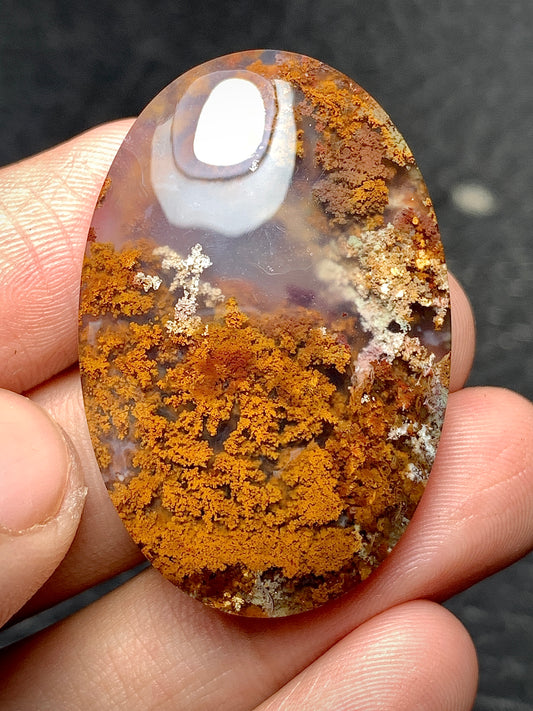 Scenic Moss Agate Oval Cabochon 37.5x25x8mm