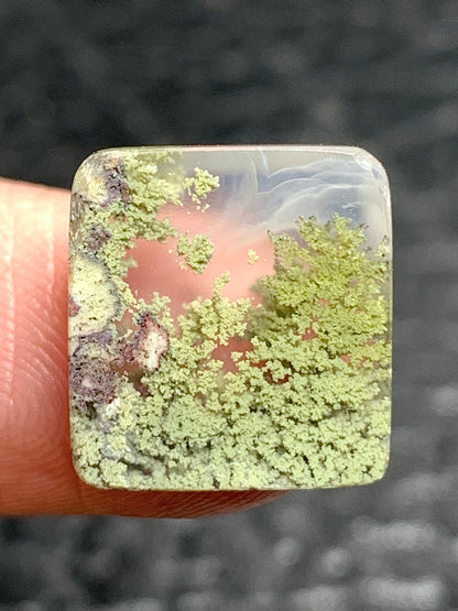 Tiny Scenic Moss Agate Rectangle Cabochon 13x12x3.5mm