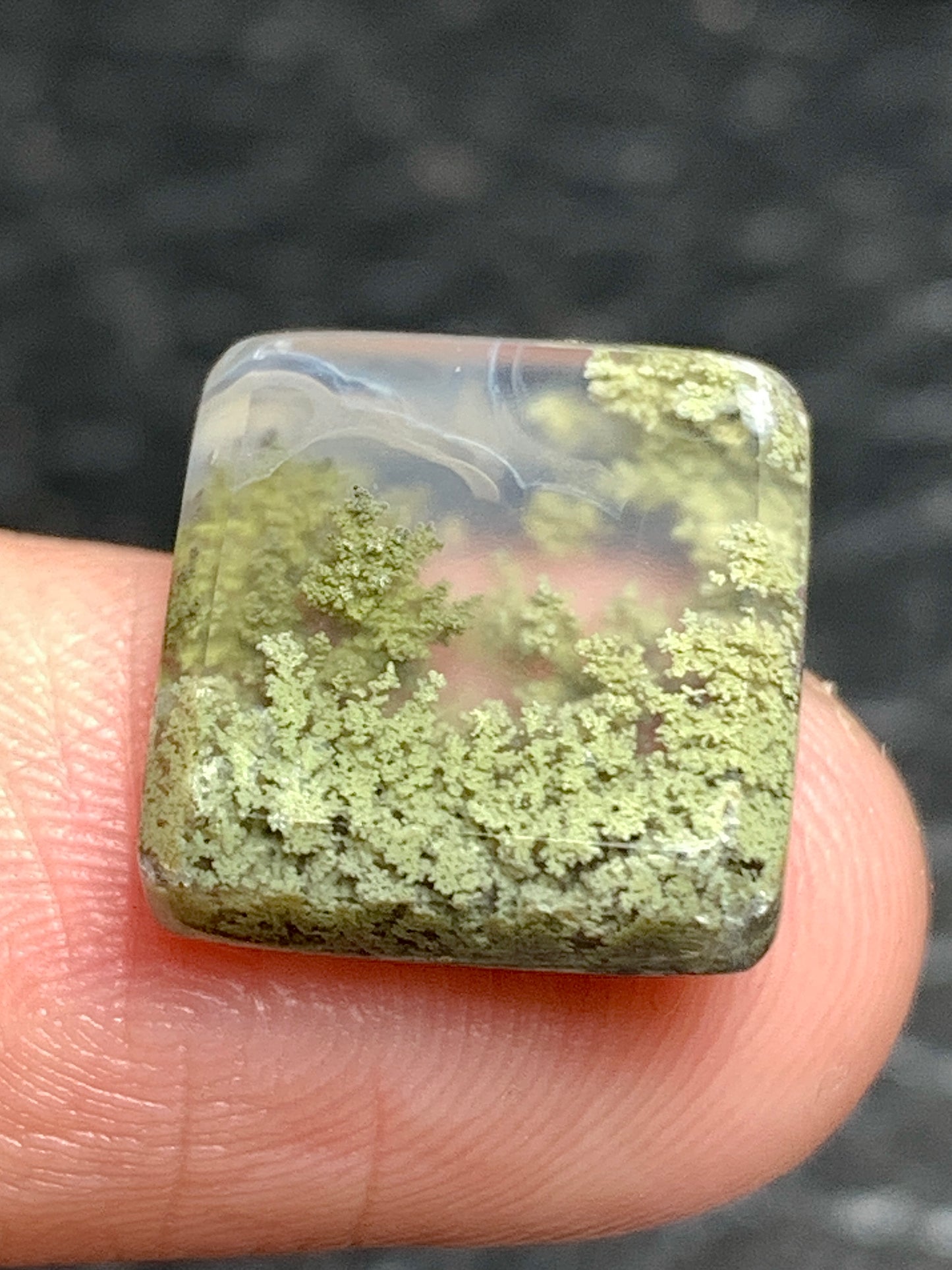 Tiny Scenic Moss Agate Rectangle Cabochon 13x12x3.5mm