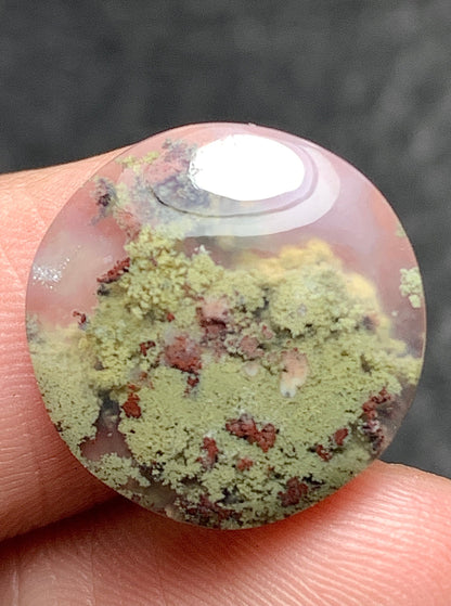 Scenic Moss Agate Round Cabochon 15x15x3.5mm