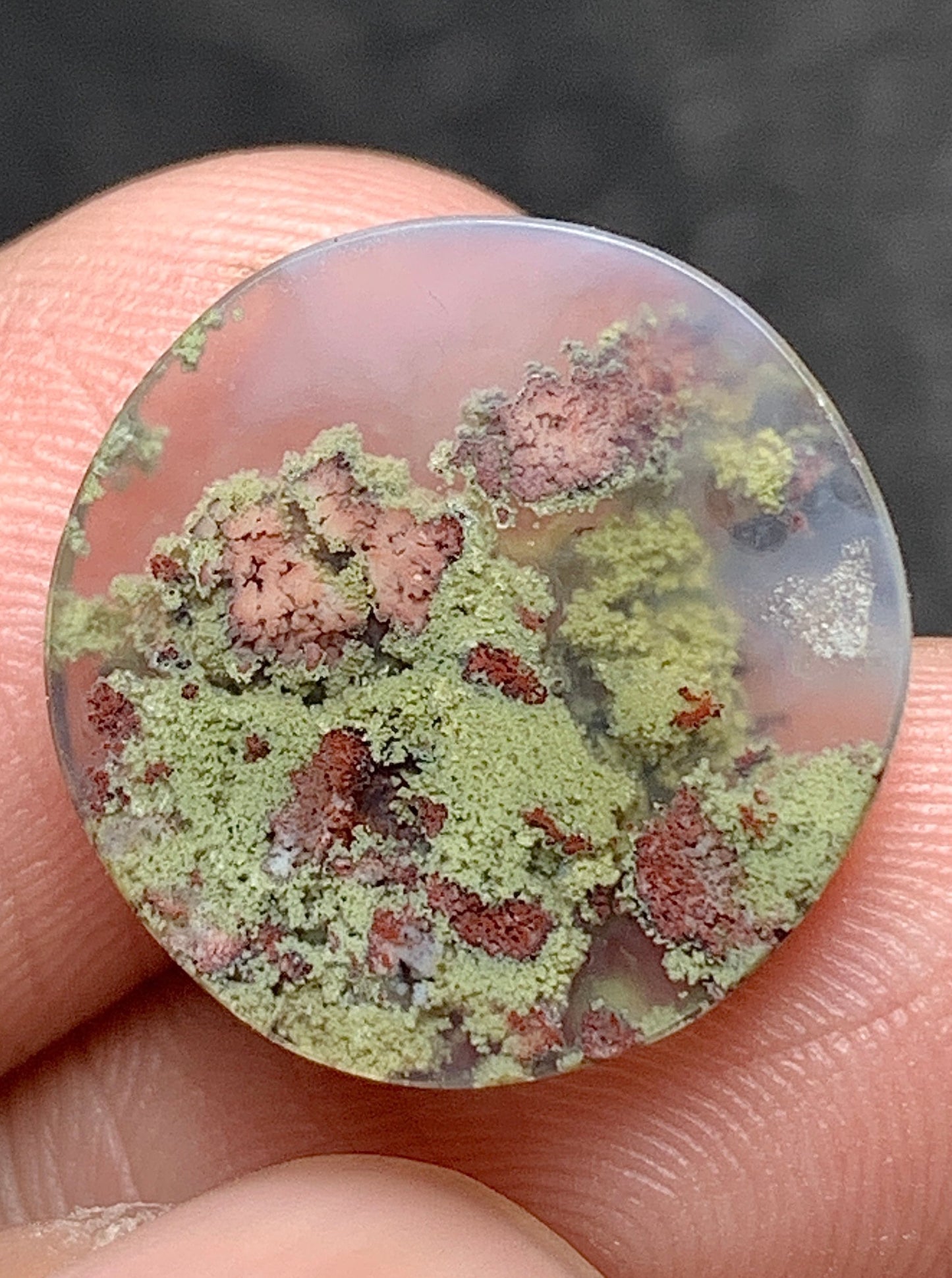 Scenic Moss Agate Round Cabochon 15x15x3.5mm