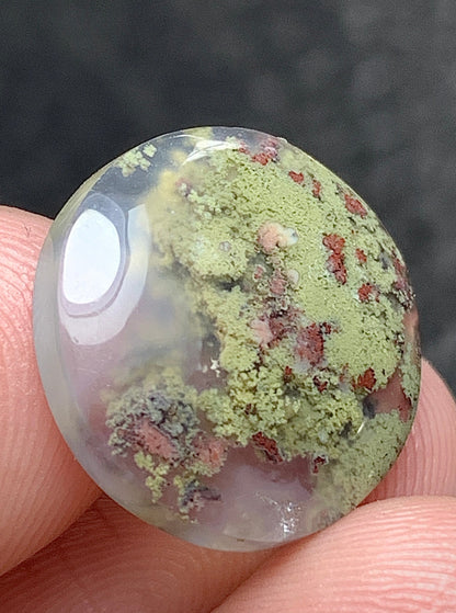 Scenic Moss Agate Round Cabochon 15x15x3.5mm