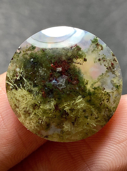 Scenic Moss Agate Round Cabochon 18x18x5.5mm