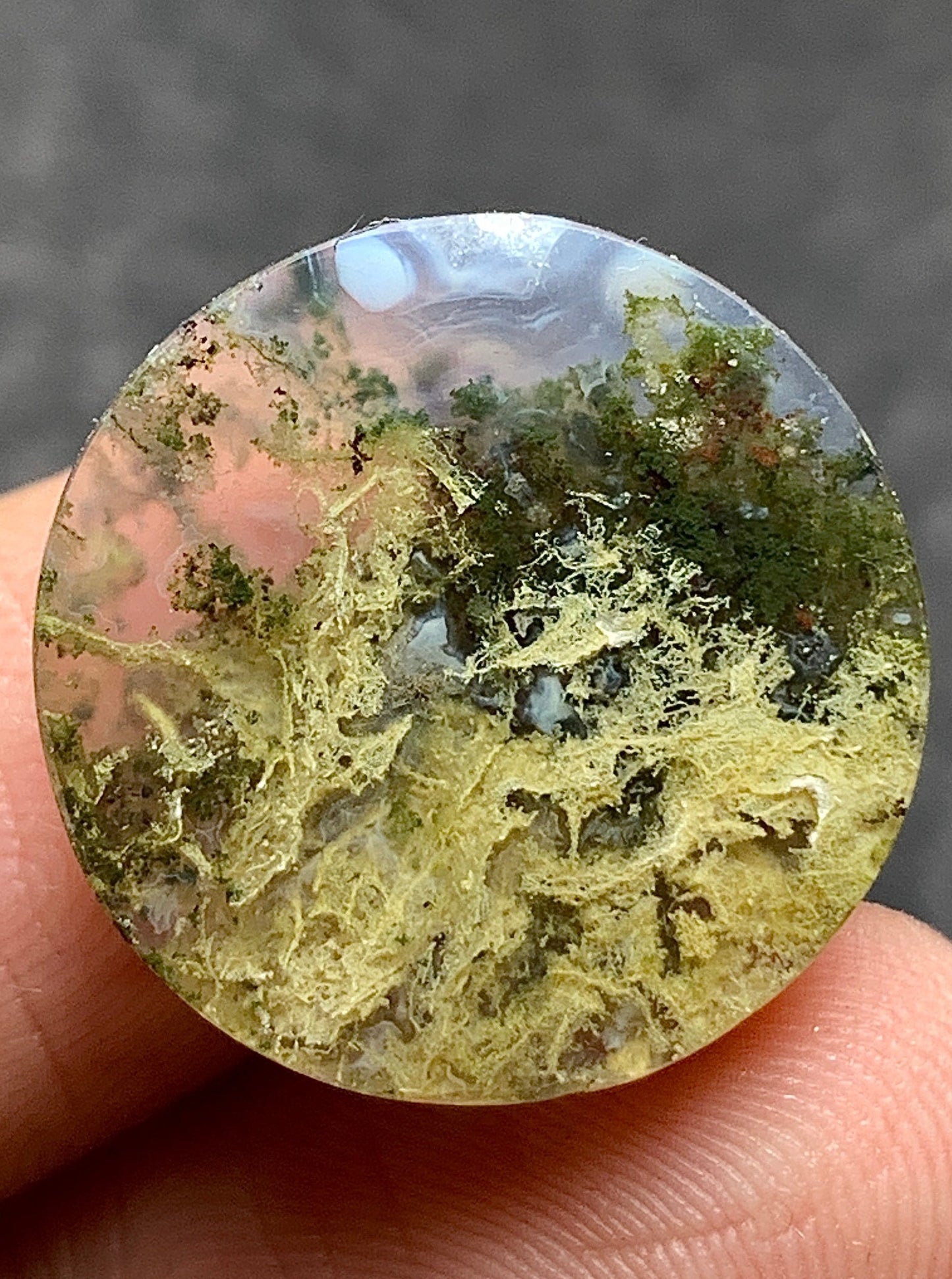 Scenic Moss Agate Round Cabochon 18x18x5.5mm