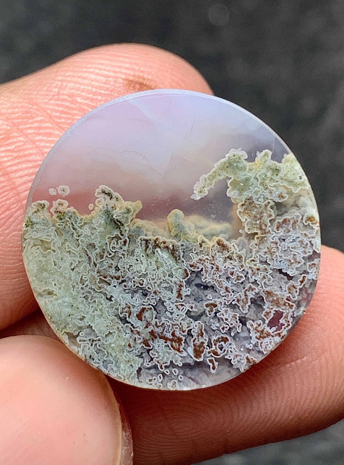 Scenic Moss Agate Round Cabochon 18x18x5mm