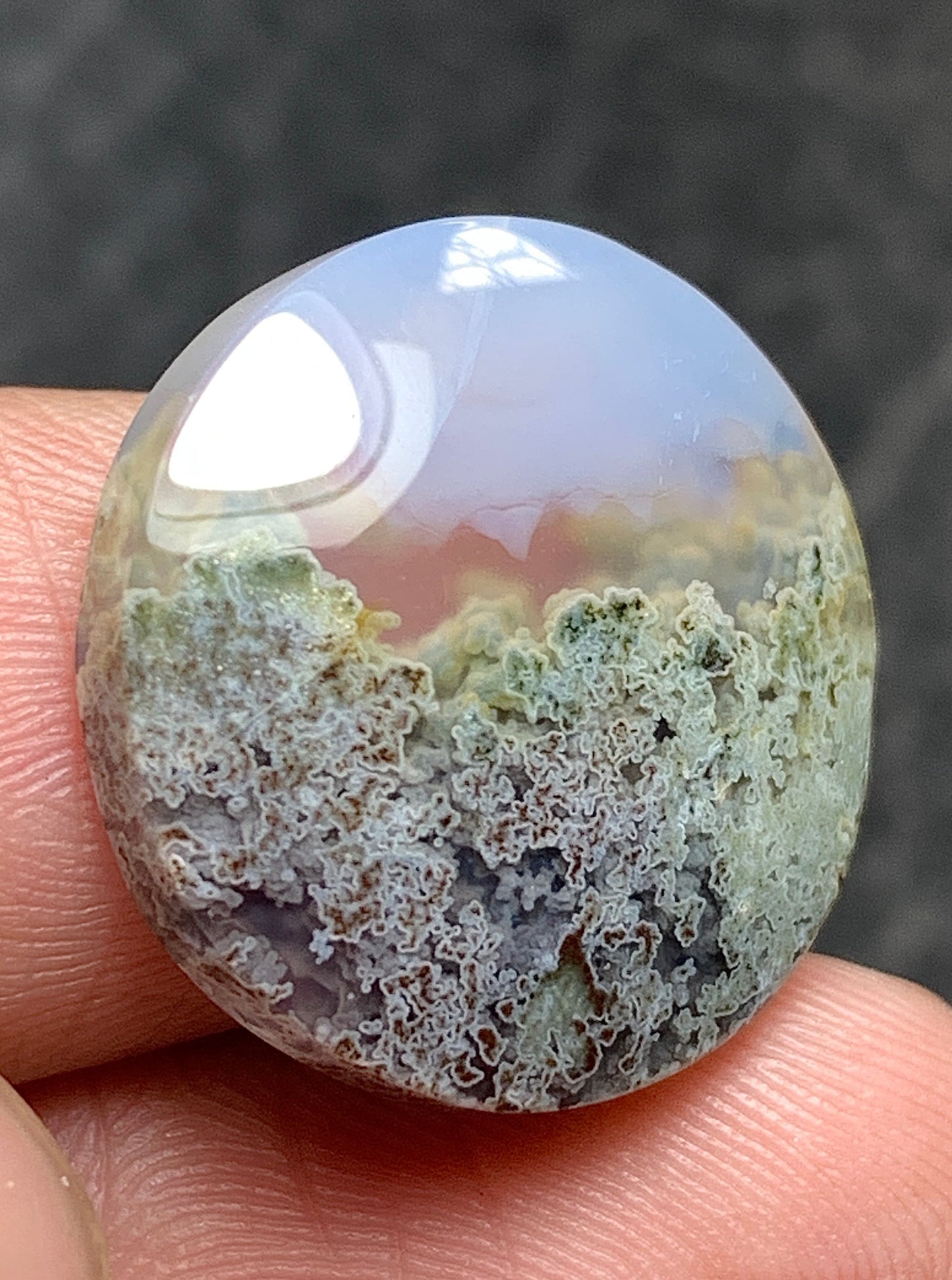 Scenic Moss Agate Round Cabochon 18x18x5mm