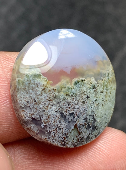 Scenic Moss Agate Round Cabochon 18x18x5mm