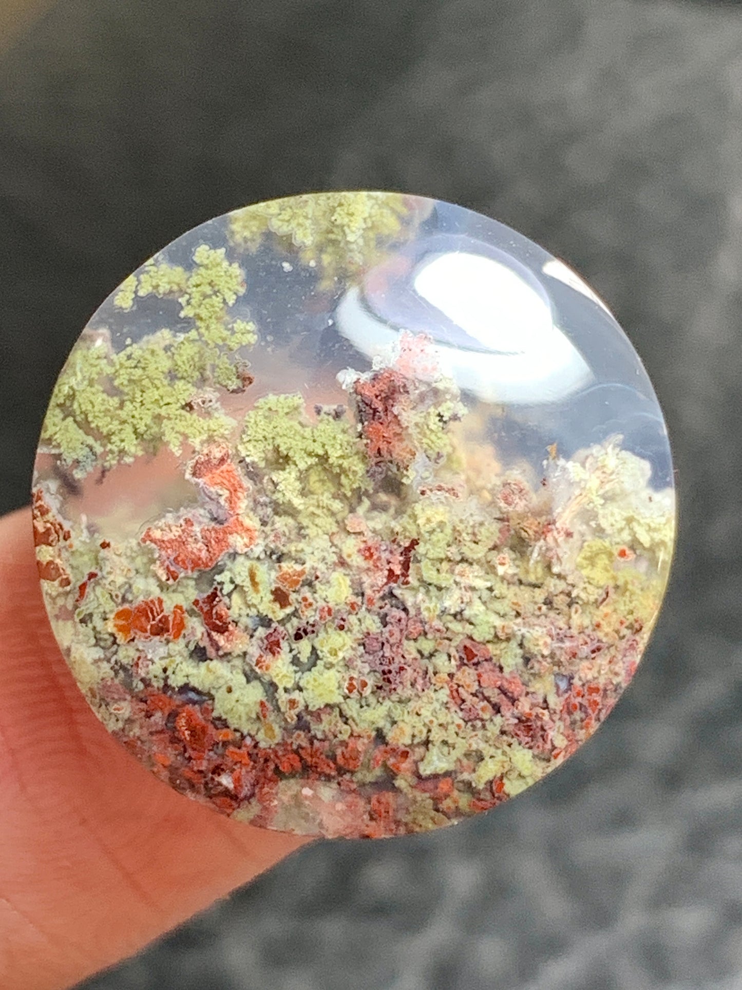 Scenic Moss Agate Round Cabochon 19x19x4.5mm